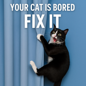 20 Best Cat Toys on Amazon to Keep Indoor Cats Happy (2025)