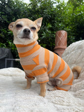 Chip Vs. The Mailman