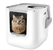 Everything You Need For A Cat