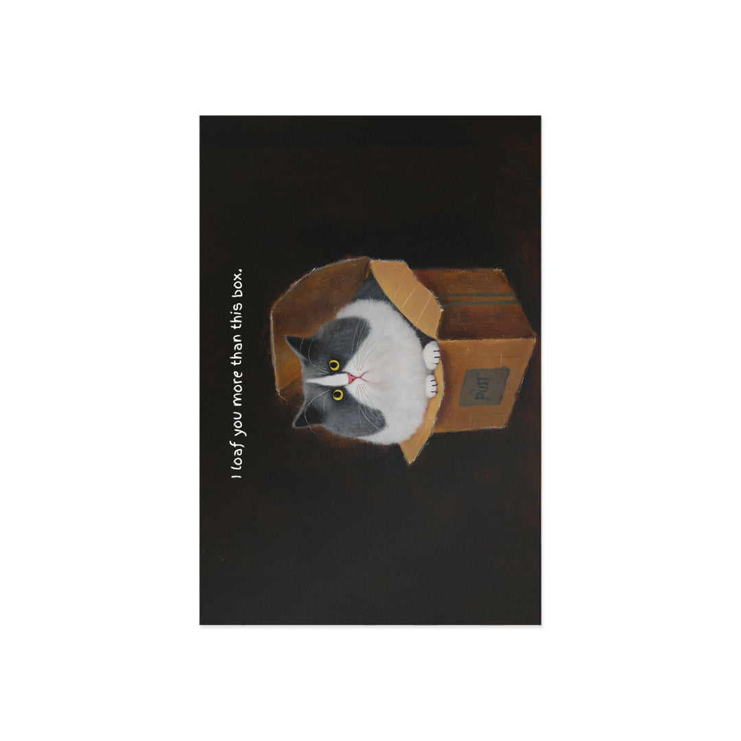 Cat Loaf Postcard Series - "I loaf you more than this box"