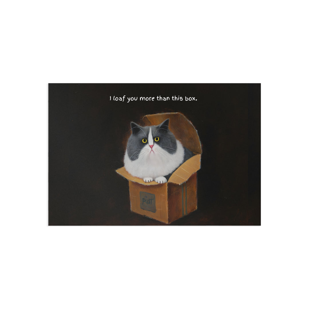 Cat Loaf Postcard Series - "I loaf you more than this box"