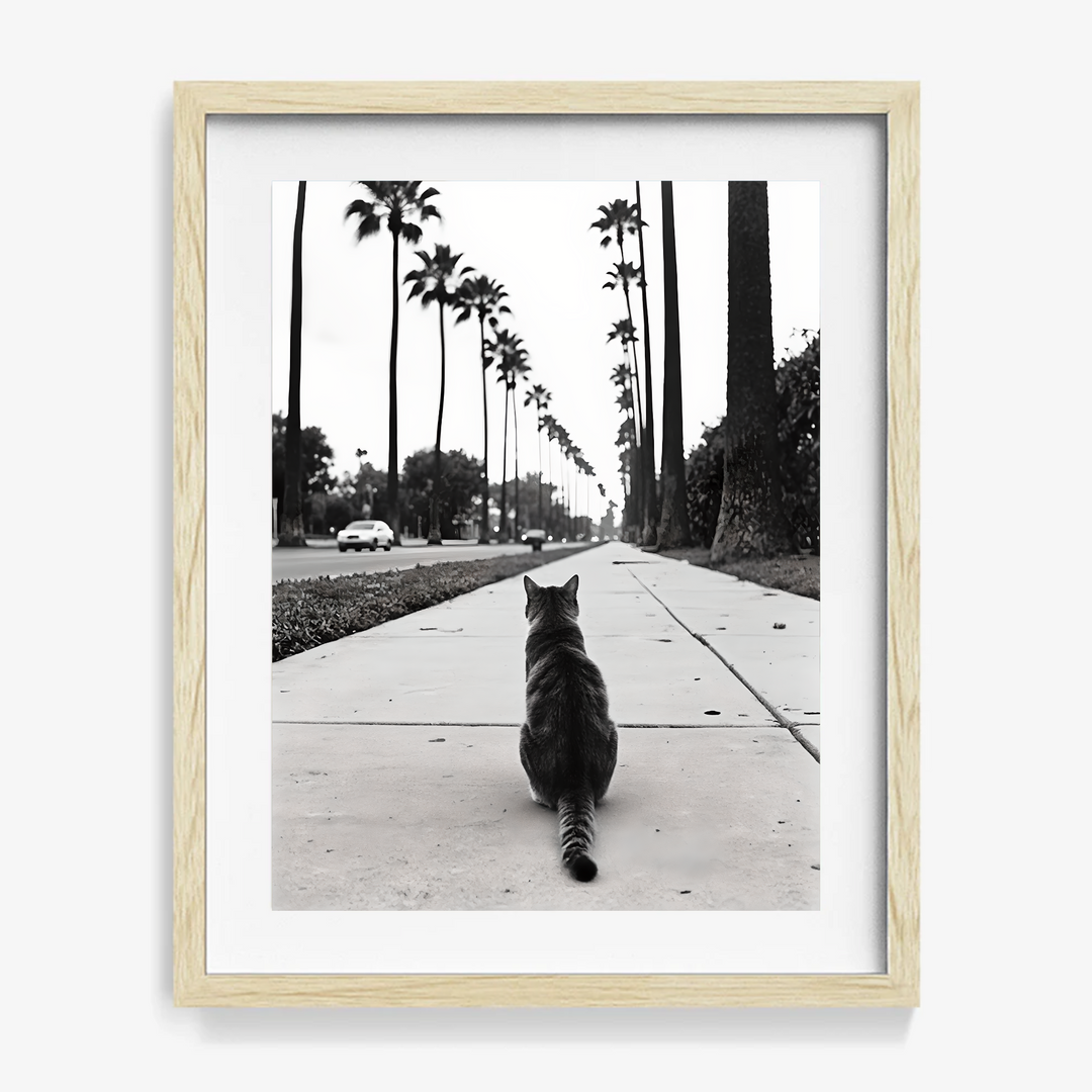 #034 Sidewalk Royalty