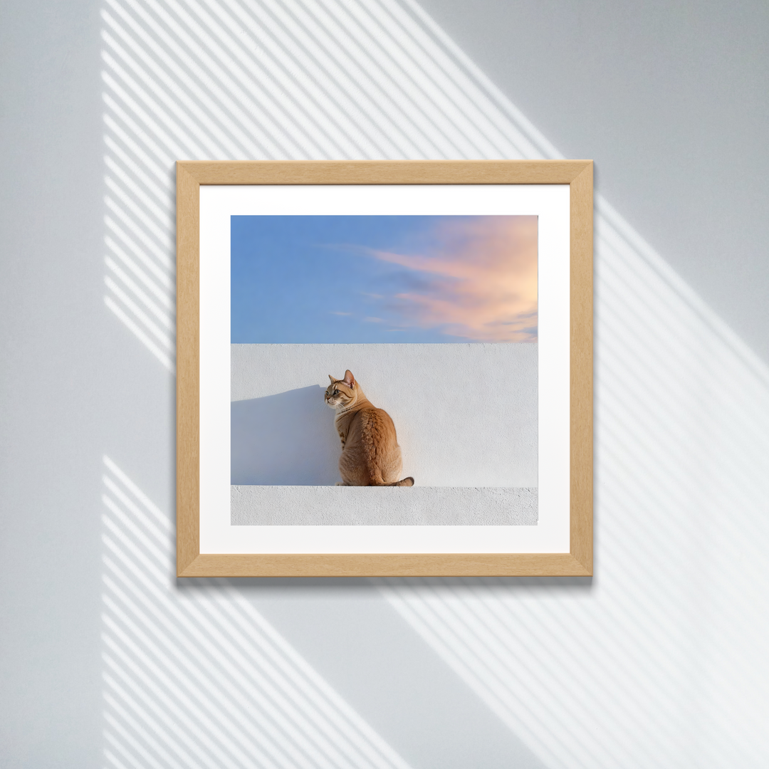 Cat Print - Feline in Full Glow