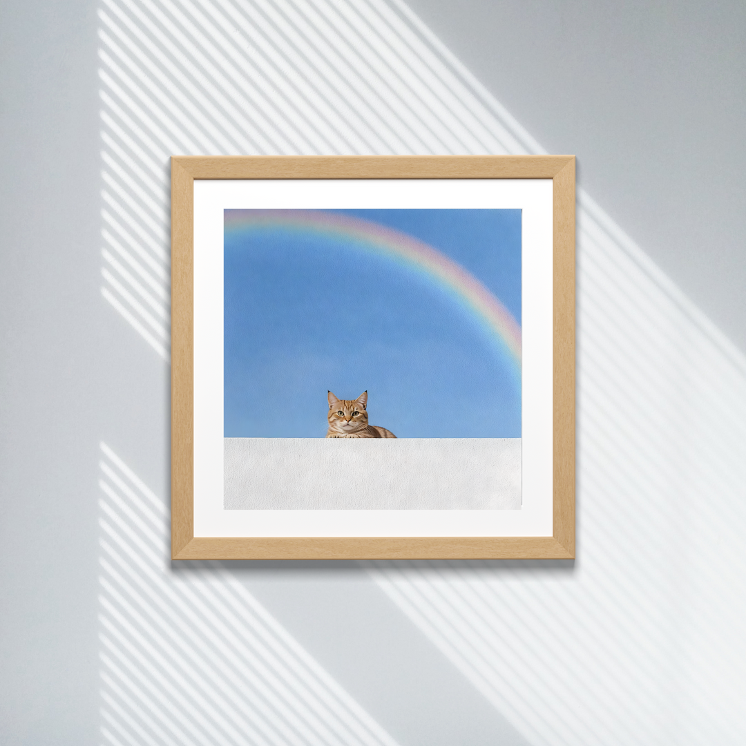 Cat Print - Paws and Prisms