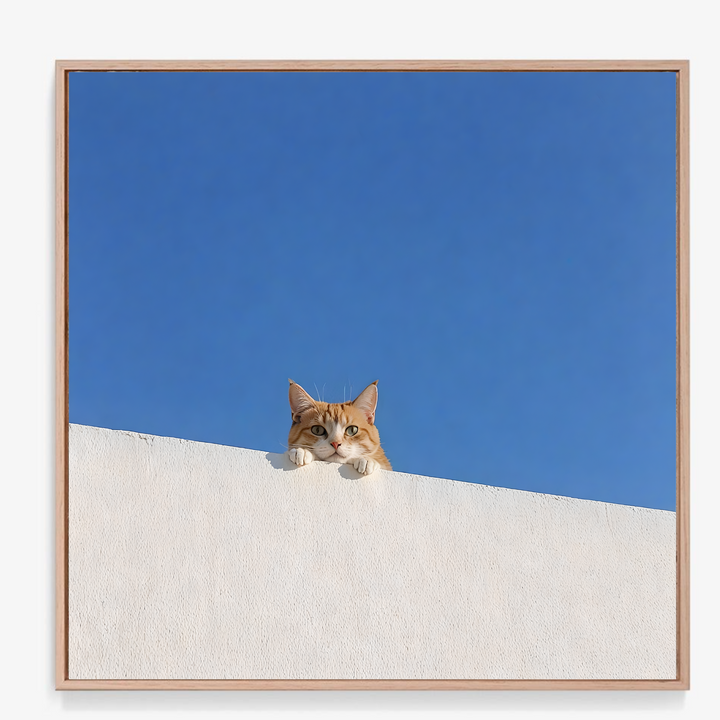 Cat Print - Hey You!