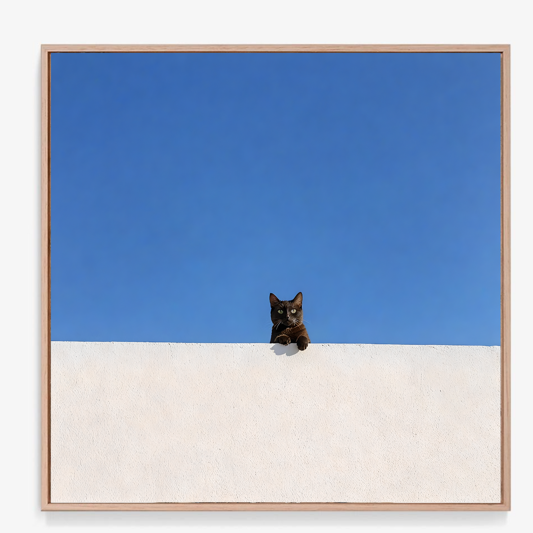 Black Cat Print - Perched in Contrast