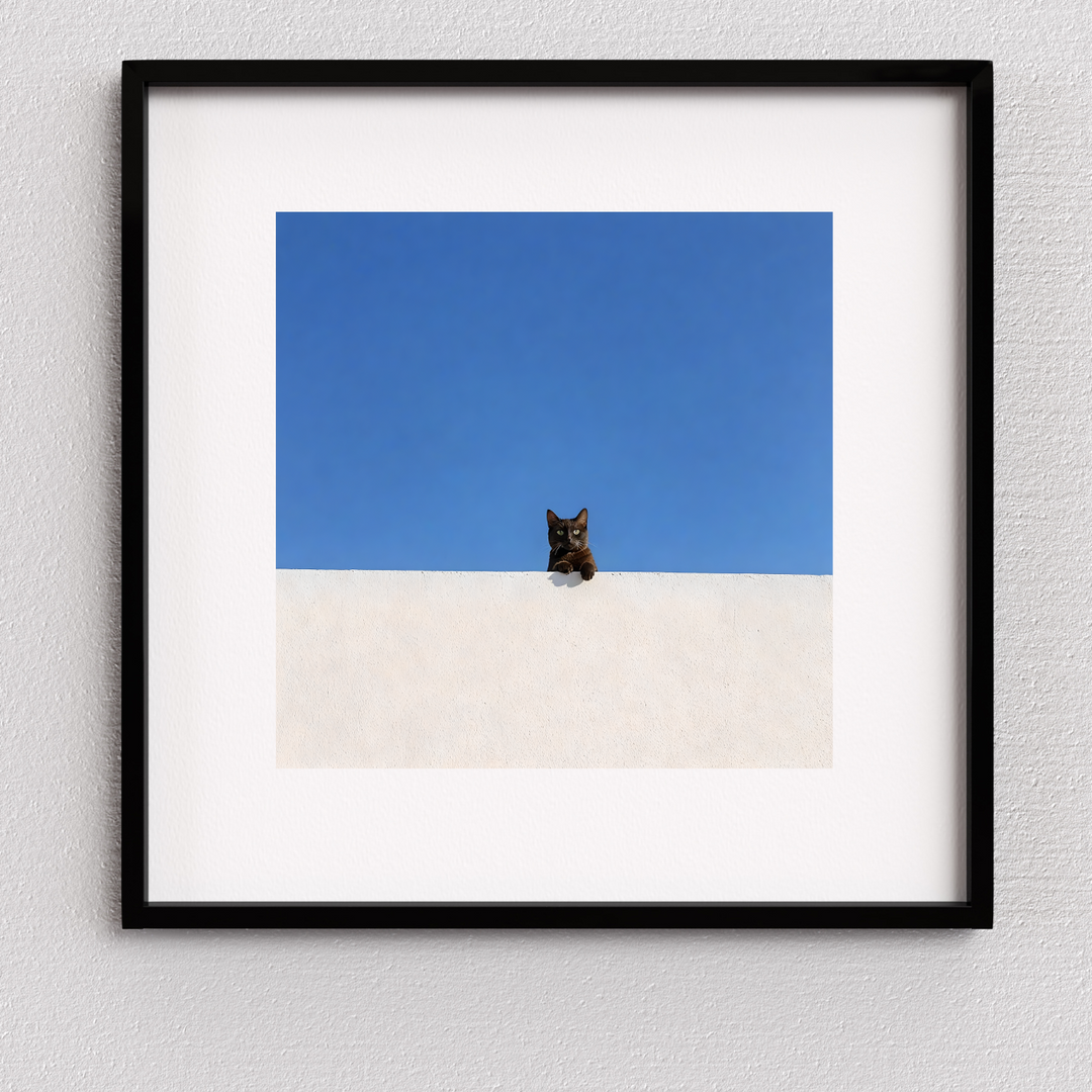 Black Cat Print - Perched in Contrast