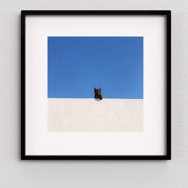 Black Cat Print - Perched in Contrast