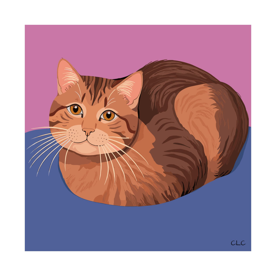 #003 The Pastel Loaf, Limited Edition Print