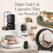 12 Expensive Cat Products That are Actually Worth The Money