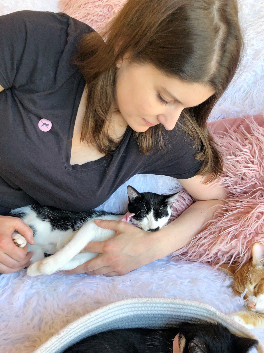 Social Anxiety in Cats (and Why It Feels Uncomfortably Familiar)