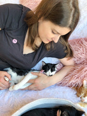 Social Anxiety in Cats (and Why It Feels Uncomfortably Familiar)