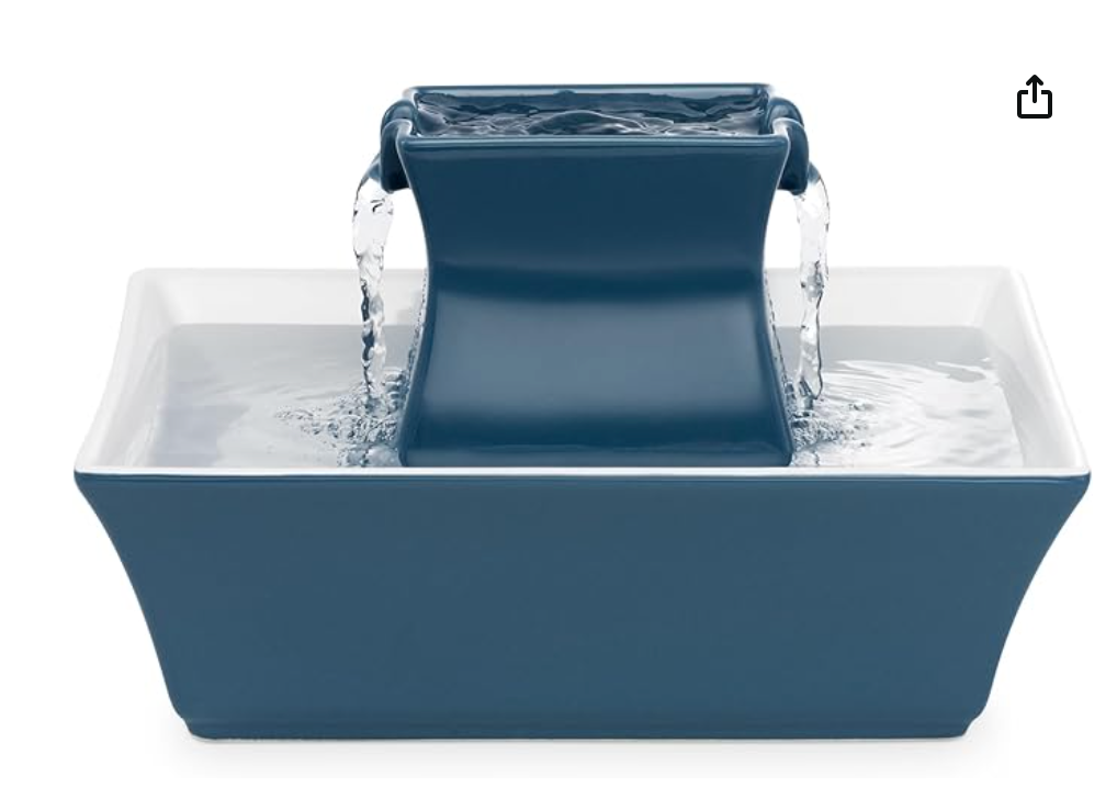 4 Best Cat Water Fountains on Amazon That Actually Get Cats to Drink (2026)