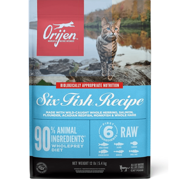 High Protein Cat Food: Best High Protein Options to Buy Now on Amazon (top-rated picks) - Cat Loaf Club