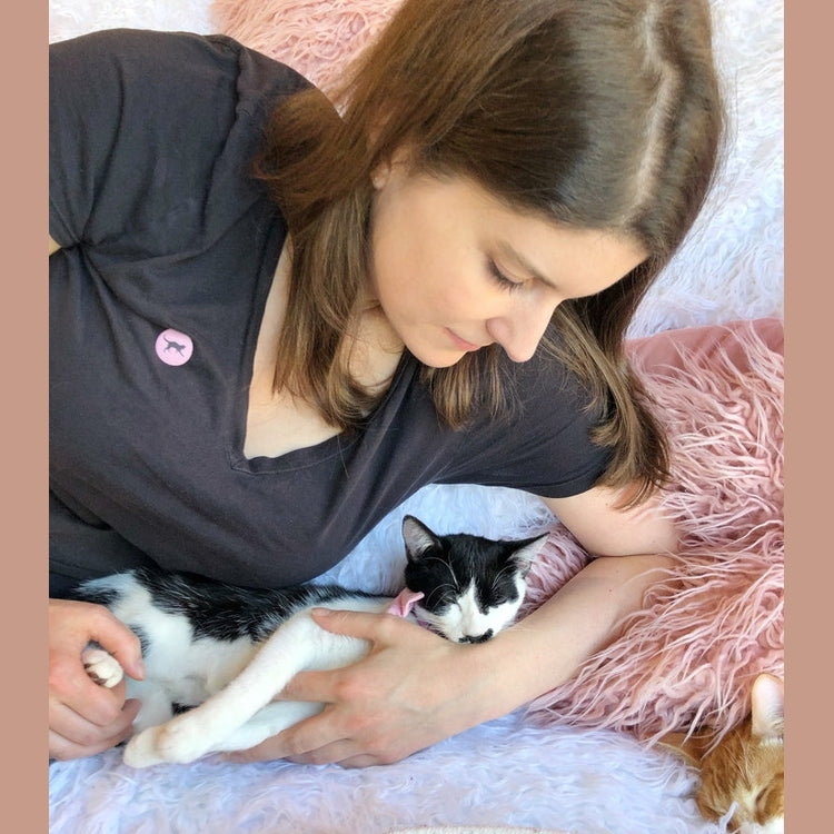 Social Anxiety in Cats (and Why It Feels Uncomfortably Familiar) - Cat Loaf Club