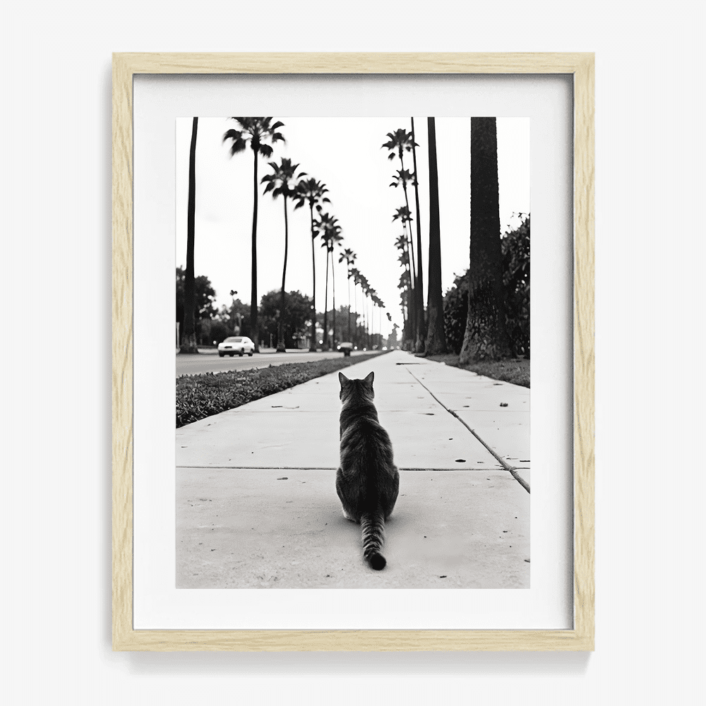 #034 Sidewalk Royalty - Cat Loaf Club