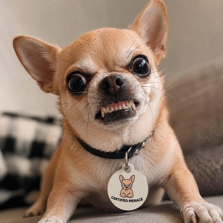 Certified Menace Pet Tag