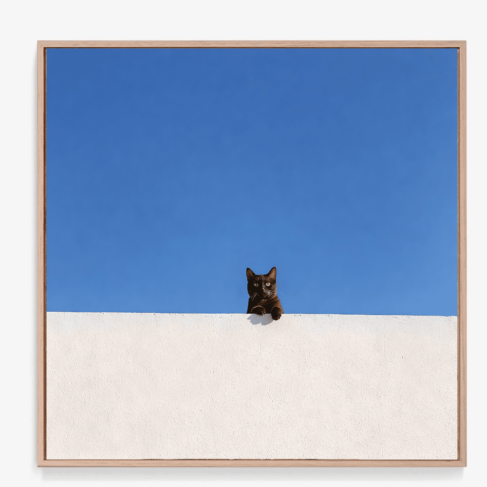 Black Cat Print - Perched in Contrast