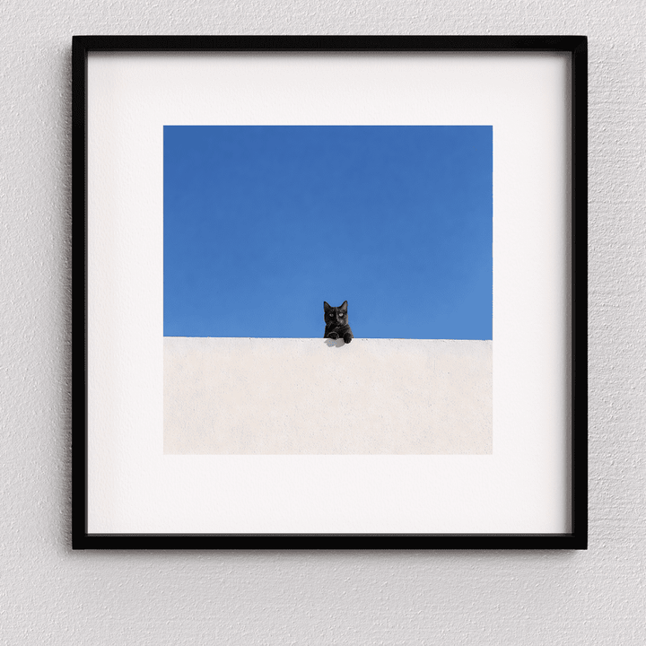 Black Cat Print - Perched in Contrast