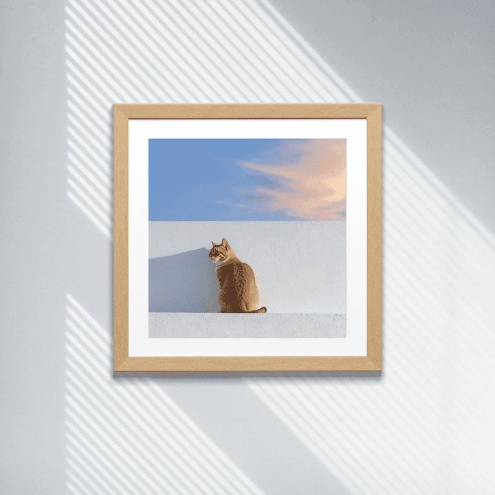 Cat Print - Feline in Full Glow