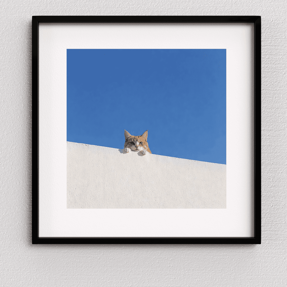 Cat Print - Hey You!