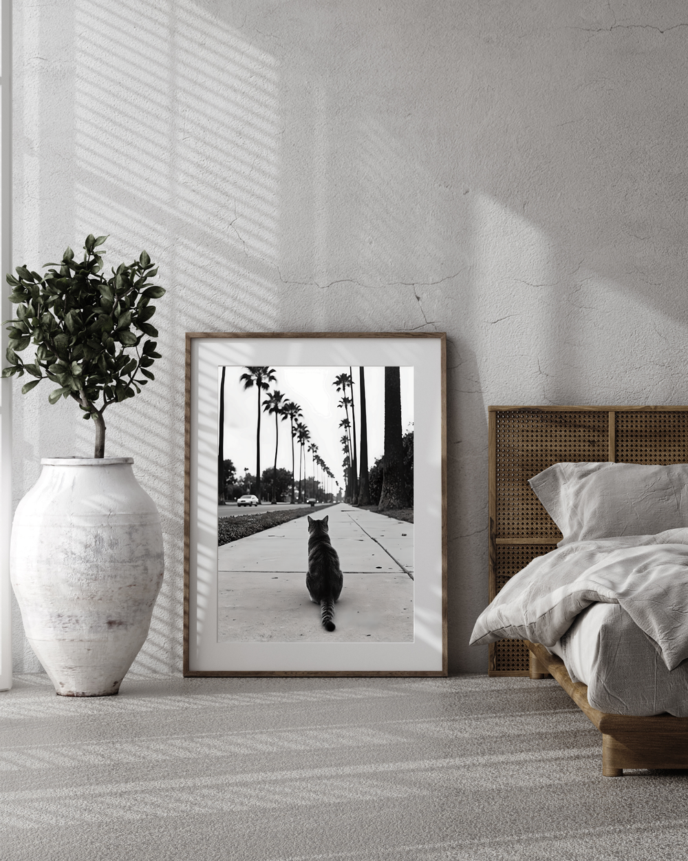 #034 Sidewalk Royalty