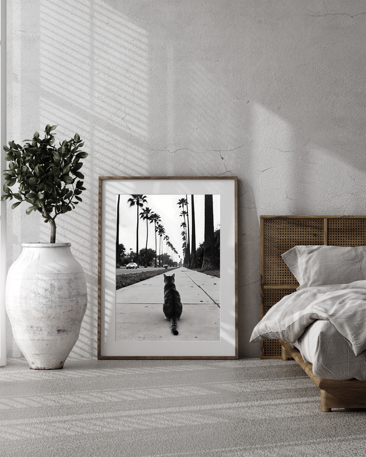 #034 Sidewalk Royalty