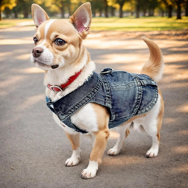 Dog Jean Jacket Pet Denim Clothes for Small Dogs Fashion Classic Girl Boy Cat Costumes Puppy Outfit Shirts Machine Washable