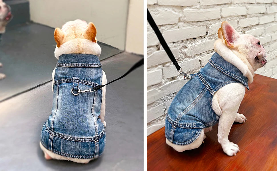 Dog Jean Jacket Pet Denim Clothes for Small Dogs Fashion Classic Girl Boy Cat Costumes Puppy Outfit Shirts Machine Washable