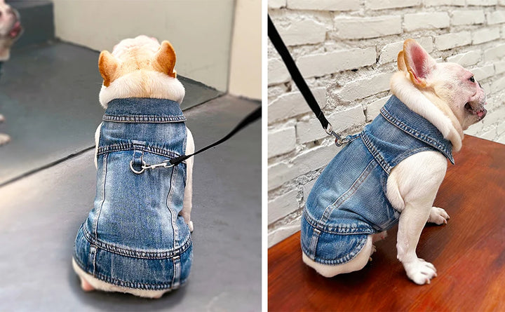 Dog Jean Jacket Pet Denim Clothes for Small Dogs Fashion Classic Girl Boy Cat Costumes Puppy Outfit Shirts Machine Washable