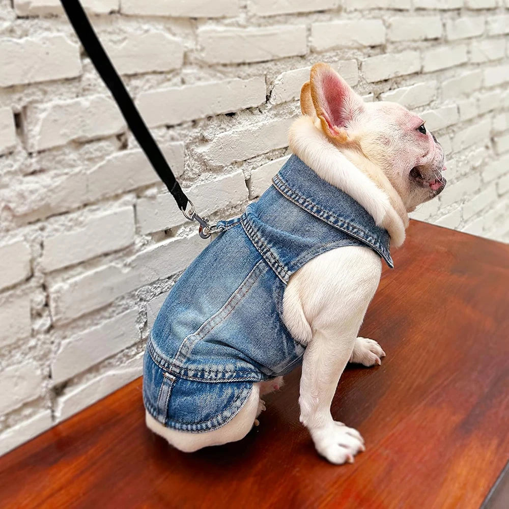 Dog Jean Jacket Pet Denim Clothes for Small Dogs Fashion Classic Girl Boy Cat Costumes Puppy Outfit Shirts Machine Washable
