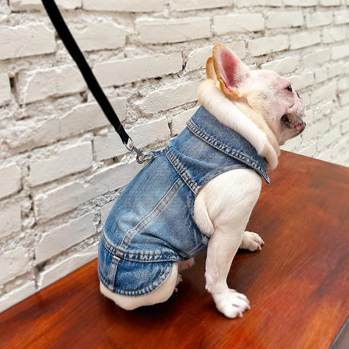 Dog Jean Jacket Pet Denim Clothes for Small Dogs Fashion Classic Girl Boy Cat Costumes Puppy Outfit Shirts Machine Washable