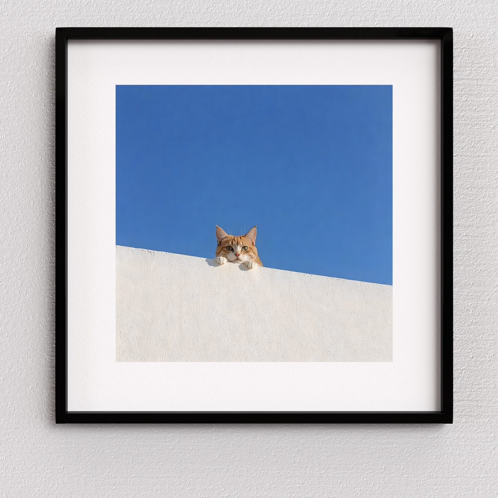 Cat Print - Hey You!